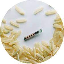 Free pet chip registry (911petchip). Free Pet Microchip Registry Even Though Your Pet Has Had A Microchip Implanted You Still Need To Register The Microchip Number With Animal Free Pets Your Pet