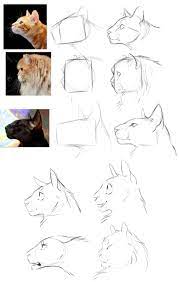 We've already had a blog post about how to draw birds and, since that one seemed to interest many people, i think it's time for another instructional post, this time about how to draw a cat's face in profile. How To Draw A Cat Head Side View Howto Techno