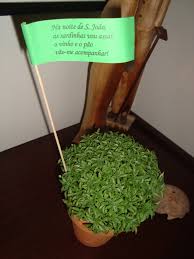 20 quadras para os manjericos dos santos populares. Sao Joao Nabocadecena S Blog