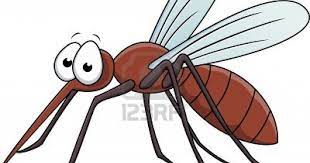 Download now mengapa nyamuk bisa sebabkan berbagai penyakit halaman all. Paling Baru Animasi Gambar Nyamuk Aedes Amanda T Ayala