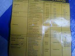 There are currently 25 faculty members. Sensei Kitengela Plant Operators Home Facebook
