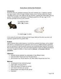 50 dihybrid cross worksheet answers. Darwin Natural Selection Worksheet Classroom Pinterest Natural And Worksheets Worksheet Template Tips And Reviews