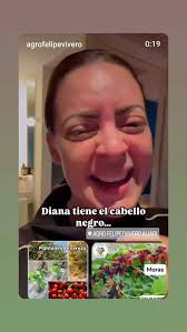 Agro Felipe/Vivero Aliari, Parita Herrera, whatsaap 63384406 Le esperamos  de Lunes a Sábados de 8:30am a 5:00pm. whatsaap 63384406 Parita