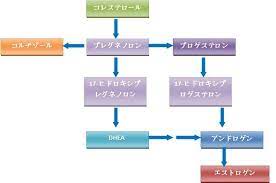 今回も 私 みぬままの私事にて失礼します そして 今回は デリケートな女性ホルモンの話 といっても 男性にも読んでいただいて全然問題ないのですが 24日の記事に書いたとおり 最近唾液採取によるホルモン検査を受けた私 みぬまま 前回の記事では 主にdheaと