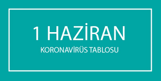 Vaka ve ölü sayısının son durumu merak konusu. 1 Haziran Koronavirus Tablosu 1 Haziran Da Kac Kisi Koronavirusten Hayatini Kaybetti