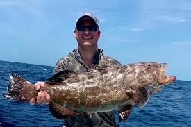 Types Of Grouper In Florida A Short Guide