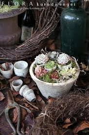多肉ちび鉢寄せ植え フローラのガーデニング 園芸作業日記 多肉植物アレンジメント 黒田園芸 フローラ黒田園芸