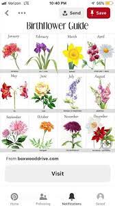 Here are the flowers and their meanings are given according to the birth month. Newest Screen Birthday Flowers By Month Concepts If You Are Seeking The Thoughtful And Enjoyment Birth In 2021 Birthday Month Flowers Birth Month Flowers Month Flowers