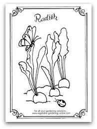 Free Vegetable Garden Coloring Books Printable Activity Pages For Kids Gardens Coloring Book Butterfly Coloring Page Coloring Books