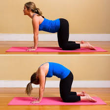 Strike A Yoga Pose Cat Pose To Cow Pose Exercise Yoga Poses For Beginners Yoga Poses