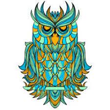 Gambar burung hantu | burung hantu merupakan nama untuk sekelompok burung yang termasuk dalam salah satu anggota spesies dari ordo strigiformes. 10 Ide Owl Burung Hantu Burung Seni Serigala