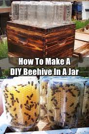 How To Make A Diy Beehive In A Jar Bee Hive Bee Bee Keeping