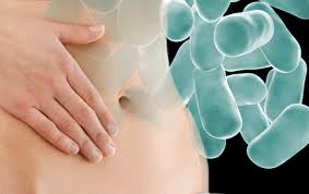 Resultado de imagen de PROBIOTICOS FOTOS