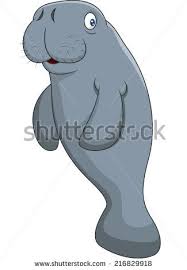 Cute Cartoon Manatee Manatee Art Cute Cartoon Cartoon Pics