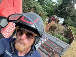 Certified Arborist in Fountain Inn SC_American Advance Tree