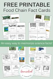 The spruce / kelly miller halloween coloring pages can be fun for younger kids, older kids, and even adults. Free Printables About Food Chains And Food Webs