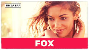 FOX? Qual é o significado e a tradução da gíria "FOX"?