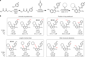This mission will happen immediately after the mission meltdown. Chemical And Structural Studies Provide A Mechanistic Basis For Recognition Of The Myc G Quadruplex Nature Communications