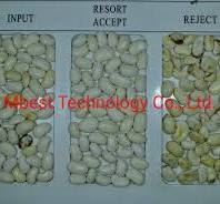 White Kidney Bean Color Sorter/Color Sorting Machine/Sort Machine
