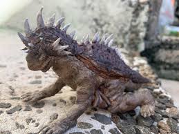 Learn how to make basic varan / dal and also other types of dal from our chef archana on ruchkar mejwani basic cooking. Custom Y Msf Varan Figure Godzilla