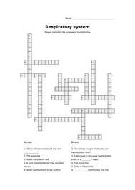 Respiratory System Crossword Puzzle Respiratory System Respiratory System Activities Respiratory