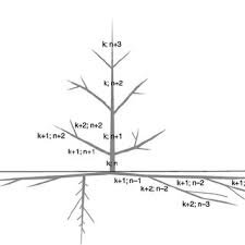 Pdf Root System Traits Of Norway Spruce Scots Pine And Silver Birch In Mixed Boreal Forests An Analysis Of Root Architecture Morphology And Anatomy