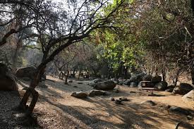 We do not include free locations only. Sequoia Kings Canyon Requiring Camping Reservations This Year