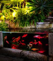 Maybe you would like to learn more about one of these? Rgb Colour Pond Light Value Pack Holman Industries