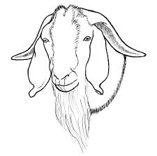 Image Result For Boer Goat Face Art Images Clip Art Art