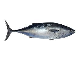 Arabind FRESH :: Buy FRESH Fish, Meat, Poultry, Fruits ...