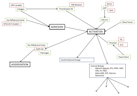 Image result for Platelet Function Closure Time