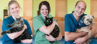 Our goal is to provide you and your pets with the best veterinary experience possible. Happy Pets Club Whitstable Bay Veterinary Centre Whitstable