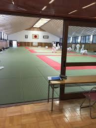 Martial Arts Schools Dojo And Gyms Arts Martiaux