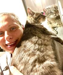 Cute moment with my cat showing affection