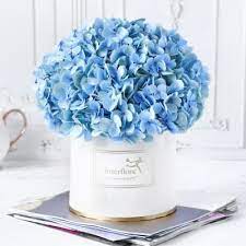 Phoolwala send flowers to pune online for birthday, anniversary, get well soon and other festivals and occasions. Flower Delivery In Pune Send Flowers To Pune Online Interflora Pune