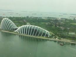 Discover the marvels of singapore botanic gardens from above with a video from above!the singapore botanic gardens holds one of the most picturesque views of. Garden Bay Singapore Indoor Botanic Garden Free Pictures Free Photos Free Image From Needpix Com