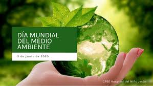 El próximo 5 de junio se conmemorará el día internacional del medio ambiente, y para celebrarlo, el parque natural del estrecho, junto al club de buceo cies de algeciras, ha convocado la xxiv jornada de limpieza y recogida de plomos de la ballenera. Dia Mundial Del Medio Ambiente By Casanova Merinero On Genially