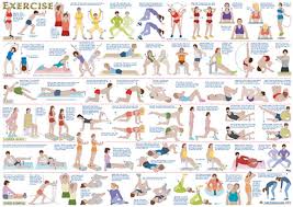 Weight Lifting Exercises Online Charts Collection
