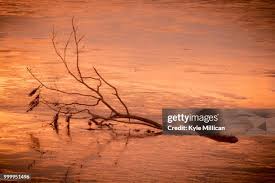 662 Millican Stock Photos, High-Res Pictures, and Images