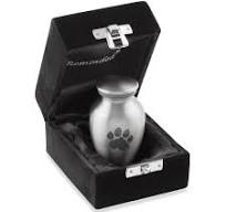 Reminded Urne funéraire pour chien et chat - Urne funéraire en forme de  patte - Très petite taille - Argenté : Amazon.ca: Animalerie