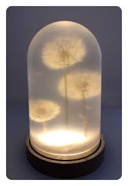 Dandelion Led Light In 2020 Led Lights The Bell Jar Led