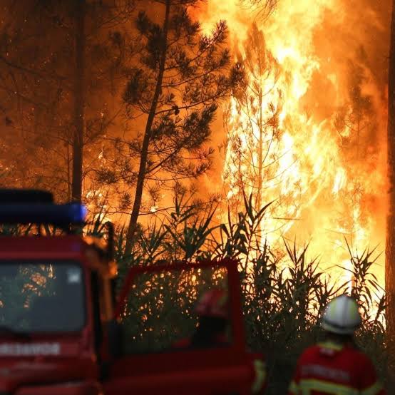 Nueva ola de calor golpea a Europa con incendios en España, Portugal y Francia - France 24