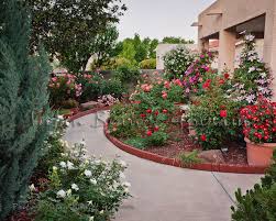 Our local stores do not honor online pricing. Small Garden With Roses Rose Of Sharon And Clematis Southwest Desert Gardening Photos