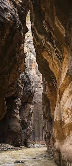 Most people will do the narrows hike up to wall street, which is the beginning of where the canyon is at its narrowest, about 2 miles in. Zion John In The Narrows National Parks National Parks Usa Utah National Parks