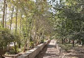 زاینده رود