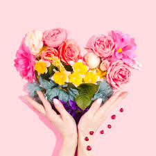 Maybe you would like to learn more about one of these? Beautiful Whatsapp Dp Flower Images Free Download Dp Images Goodmorningimagess