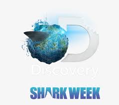 Discovery Channel Logo Png Discovery Shark Week Logo Free Transparent Png Download Pngkey