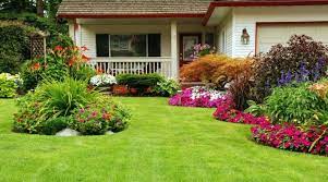 Bunga yang cantik ini juga sering disebut sebagai bunga padang rumput karena memiliki habitat asli di daerah terbuka. Bunga Garden 82 Foto Apa Itu Katil Bunga Di Negara Ini Dan Di Taman Rumah Persendirian Pilihan Yang Indah Untuk Perennials Berbunga Berterusan