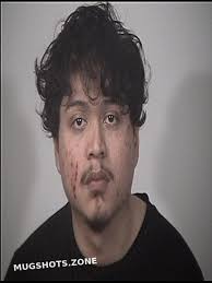 LAINEZ-PENADO SAUL DANIEL 01/11/2024