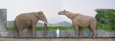 Pin By Crysta On Megafauna Prehistoric Animals Largest Animal Ever Extinct Animals